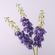 38 Inch Extra Long Campanula Stems, 10 Pcs Real Touch Artificial Flowers