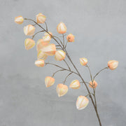 37 Inch Extra Long Artificial Cape Gooseberry Stems Branches 6 Pcs Autumn Decoration