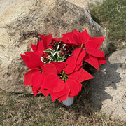 Artificial Poinsettia and Red Berry Cemetery Flowers in Vase, 12 Inch, Bulk Memorial Artificial Floral Arrangement for Graves, Wholesale