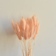 50 Pcs Natural Bunny Tails Dried Flowers, Soft Beige, 4-6 Inch Stems for Wedding, Baby Shower, Boho, Fall Decor