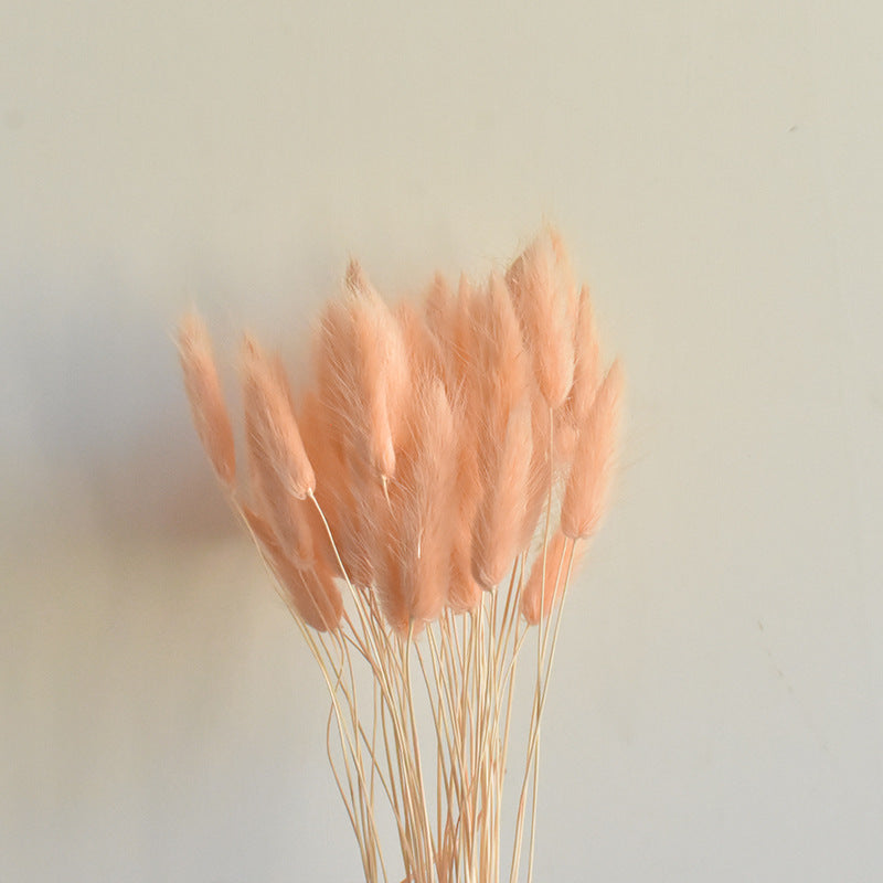 50 Pcs Natural Bunny Tails Dried Flowers, Soft Beige, 4-6 Inch Stems for Wedding, Baby Shower, Boho, Fall Decor