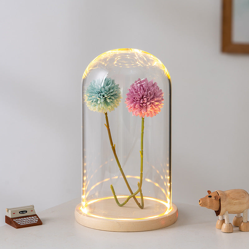 Light Up Clear Glass Display Dome for DIY Gifts – Bulk Wholesale Pack
