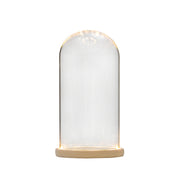 Light Up Clear Glass Display Dome for DIY Gifts – Bulk Wholesale Pack