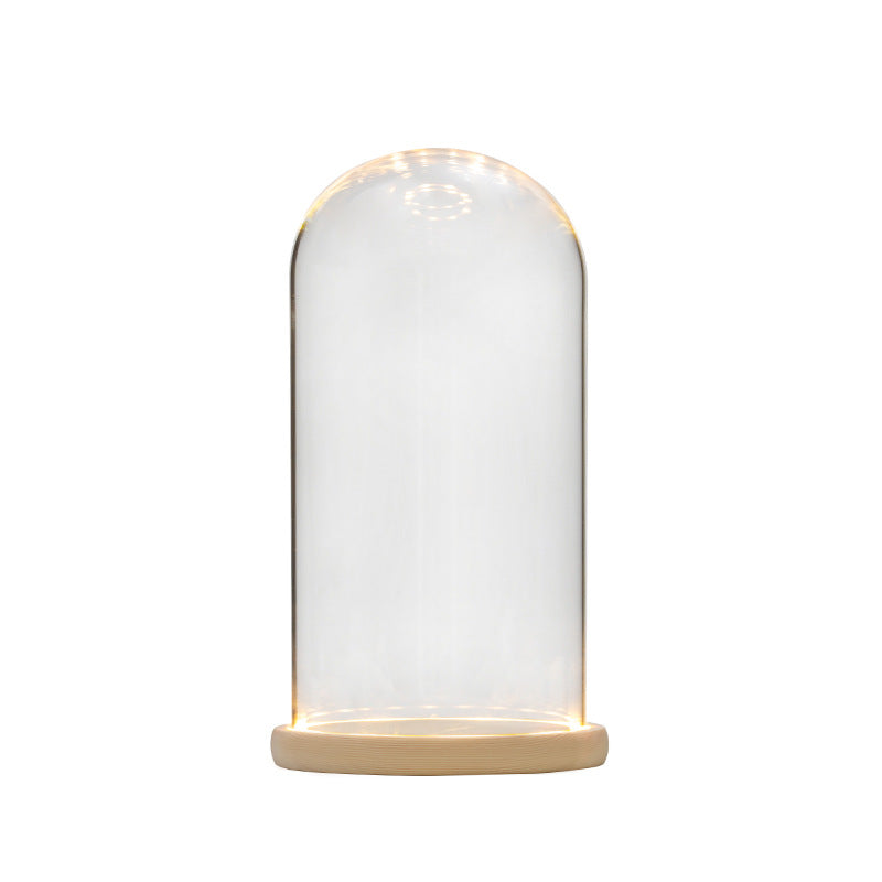 Light Up Clear Glass Display Dome for DIY Gifts – Bulk Wholesale Pack