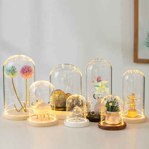 Light Up Clear Glass Display Dome for DIY Gifts – Bulk Wholesale Pack