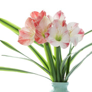24 Inch Clivia Miniata Lily Stems 10 Pcs Real Touch Artificial Flowers Bulk