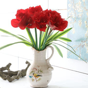 24 Inch Clivia Miniata Lily Stems 10 Pcs Real Touch Artificial Flowers Bulk