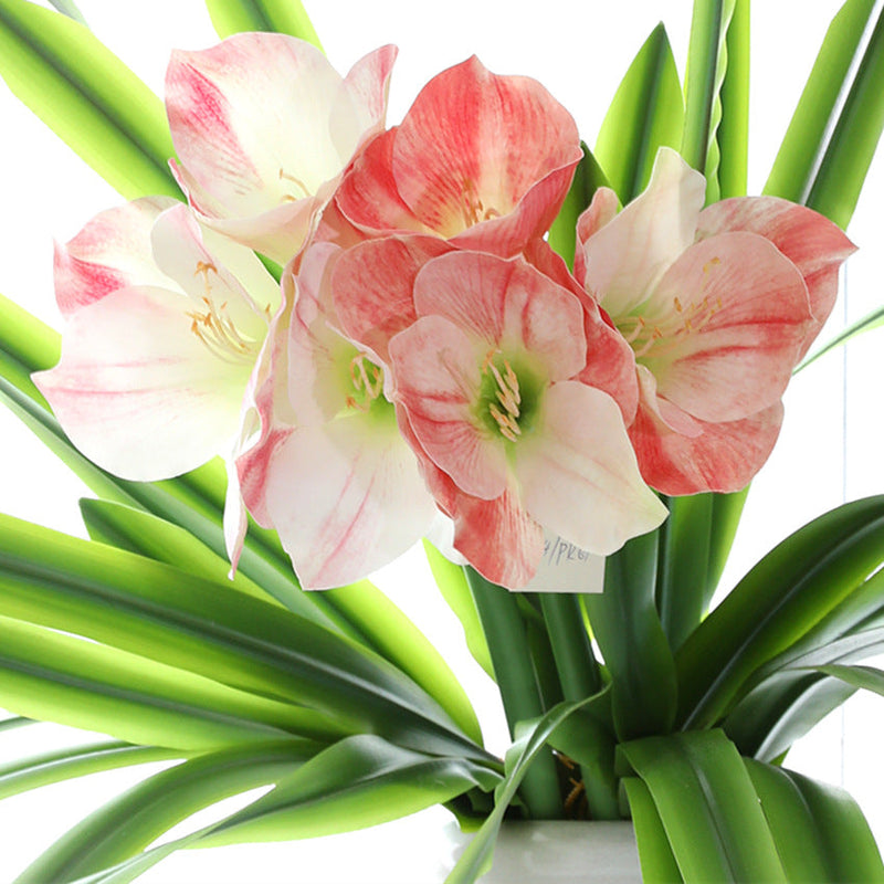24 Inch Clivia Miniata Lily Stems 10 Pcs Real Touch Artificial Flowers Bulk