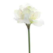 24 Inch Clivia Miniata Lily Stems 10 Pcs Real Touch Artificial Flowers Bulk