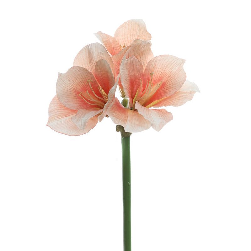 24 Inch Clivia Miniata Lily Stems 10 Pcs Real Touch Artificial Flowers Bulk