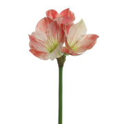 24 Inch Clivia Miniata Lily Stems 10 Pcs Real Touch Artificial Flowers Bulk