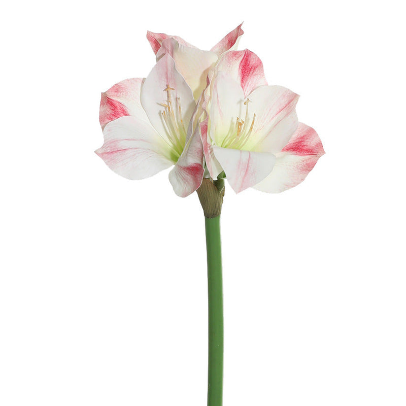24 Inch Clivia Miniata Lily Stems 10 Pcs Real Touch Artificial Flowers Bulk