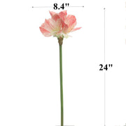 24 Inch Clivia Miniata Lily Stems 10 Pcs Real Touch Artificial Flowers Bulk