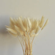 50 Pcs Natural Bunny Tails Dried Flowers, Soft Beige, 4-6 Inch Stems for Wedding, Baby Shower, Boho, Fall Decor