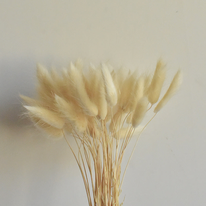 50 Pcs Natural Bunny Tails Dried Flowers, Soft Beige, 4-6 Inch Stems for Wedding, Baby Shower, Boho, Fall Decor