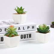3 Pcs Artificial Mini Succulent Plants in Vase Potted Succulent Planters Bulk Set