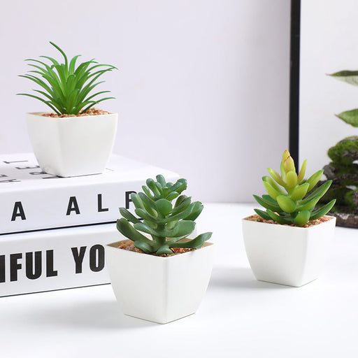 3 Pcs Artificial Mini Succulent Plants in Vase Potted Succulent Planters Bulk Set