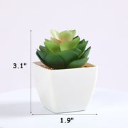 3 Pcs Artificial Mini Succulent Plants in Vase Potted Succulent Planters Bulk Set