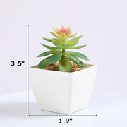 3 Pcs Artificial Mini Succulent Plants in Vase Potted Succulent Planters Bulk Set