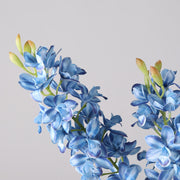 30 Inch Artificial Cymbidium Stems, 6 Pcs Silk Spring Flowers Bulk Pack