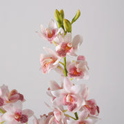 30 Inch Artificial Cymbidium Stems, 6 Pcs Silk Spring Flowers Bulk Pack