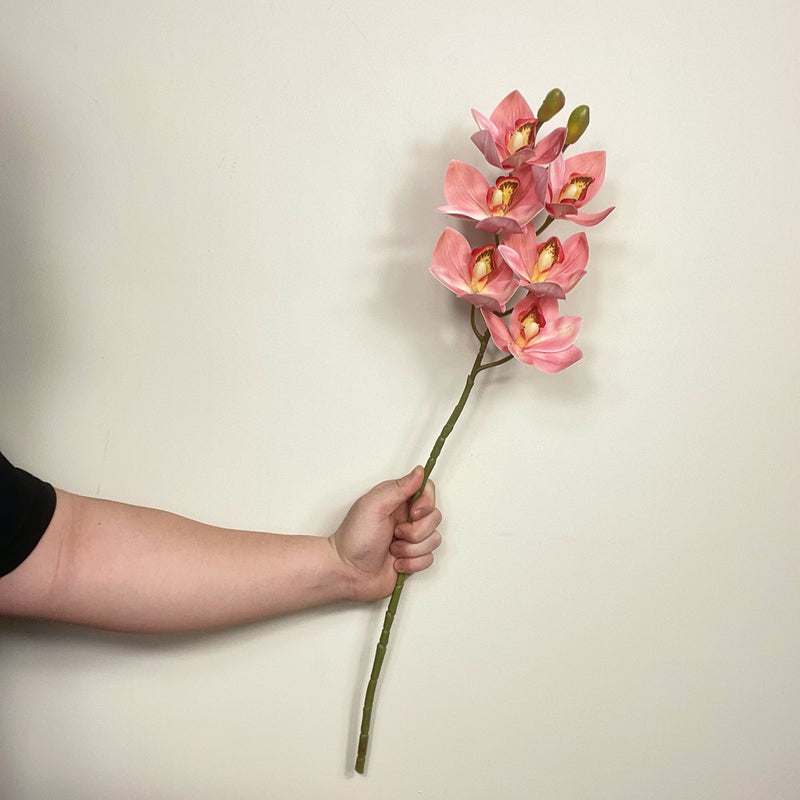 Cymbidium Orchid Stems 10 Pcs 20 Inch Real Touch Artificial Silk Flowers for Floral Arrangements