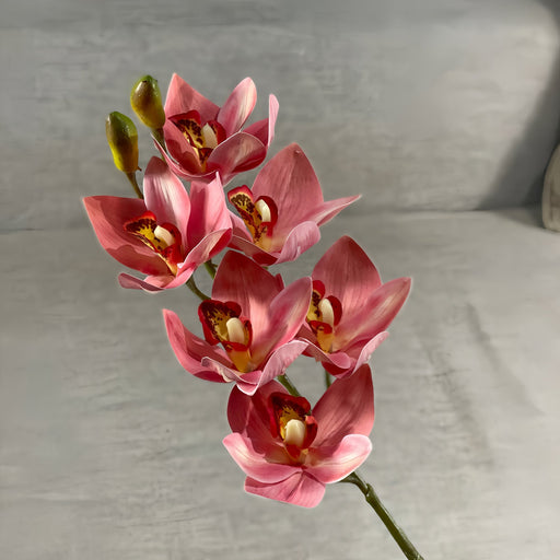 Cymbidium Orchid Stems 10 Pcs 20 Inch Real Touch Artificial Silk Flowers for Floral Arrangements