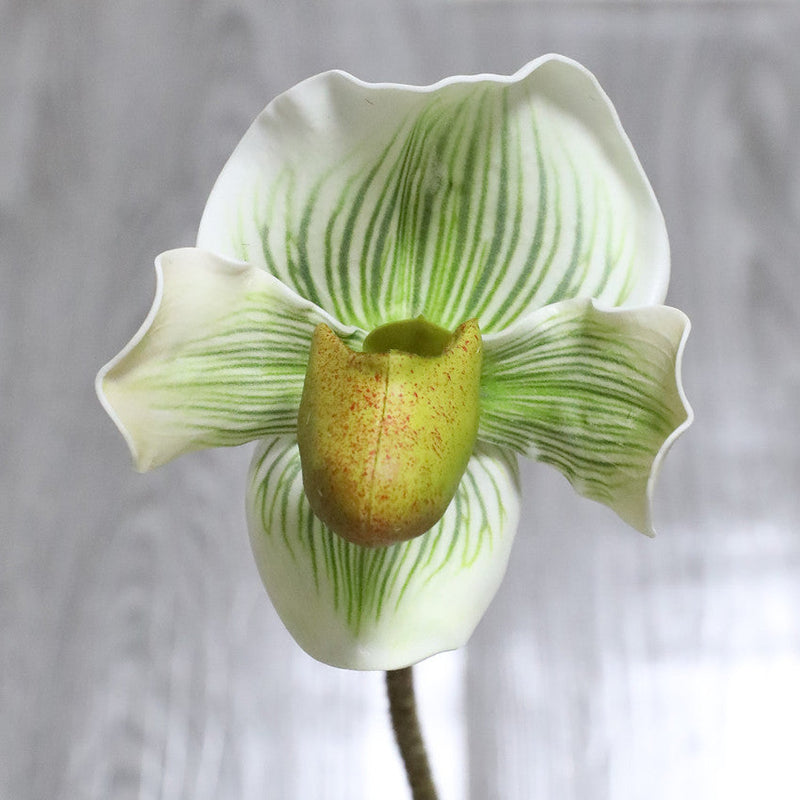 19 Inch Cypripedium Artificial Flower Stems Real Touch Bulk Quantity