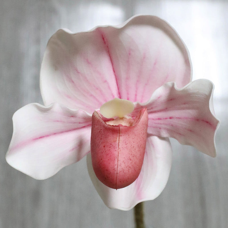 19 Inch Cypripedium Artificial Flower Stems Real Touch Bulk Quantity