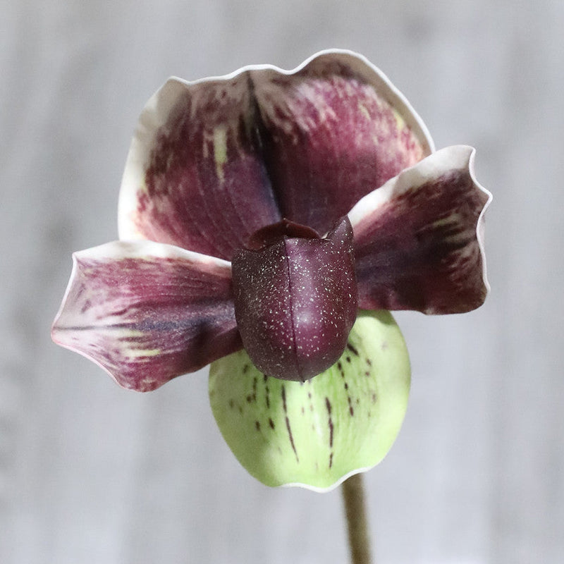 19 Inch Cypripedium Artificial Flower Stems Real Touch Bulk Quantity