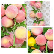 20 Inch Artificial Peach String Hanging Decoration, 1 Pc, Lifelike Simulation