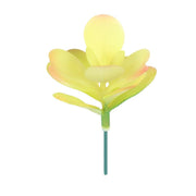 3.6 Inch Artificial Succulent Picks Bulk Quantity for DIY Arrangements