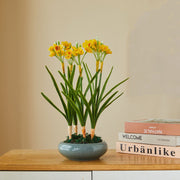 10 Pcs Artificial Daffodil Flower Stems with Leaves, Real Touch Narcissus, 14 Inch Silk Flowers Bulk