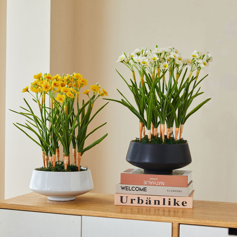 10 Pcs Artificial Daffodil Flower Stems with Leaves, Real Touch Narcissus, 14 Inch Silk Flowers Bulk