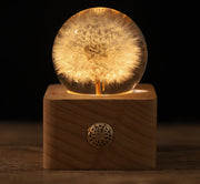 Preserved Dandelion Crystal Ball Ornament with Light, Bulk Gift Decorative Display