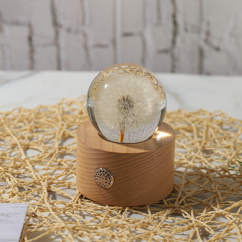 Preserved Dandelion Crystal Ball Ornament with Light, Bulk Gift Decorative Display