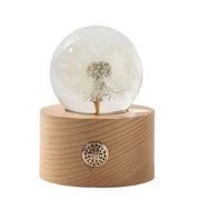 Preserved Dandelion Crystal Ball Ornament with Light, Bulk Gift Decorative Display
