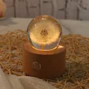 Preserved Dandelion Crystal Ball Ornament with Light, Bulk Gift Decorative Display