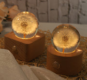 Preserved Dandelion Crystal Ball Ornament with Light, Bulk Gift Decorative Display