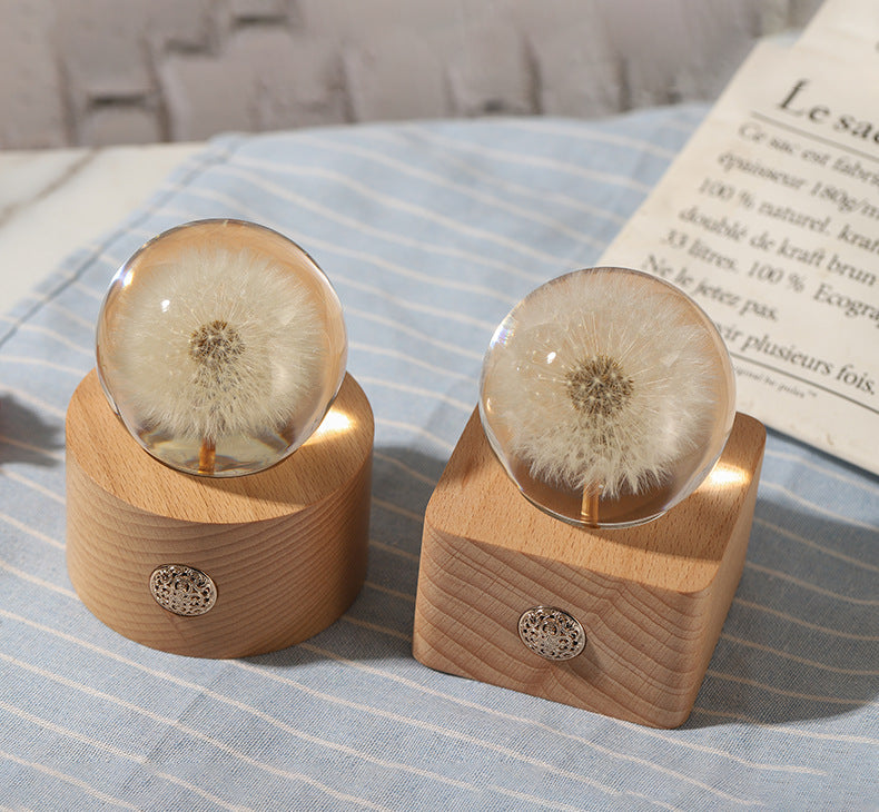 Preserved Dandelion Crystal Ball Ornament with Light, Bulk Gift Decorative Display