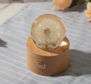 Preserved Dandelion Crystal Ball Ornament with Light, Bulk Gift Decorative Display