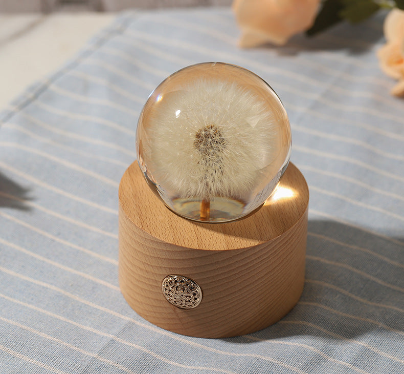 Preserved Dandelion Crystal Ball Ornament with Light, Bulk Gift Decorative Display