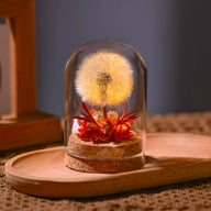 Dandelion Preserved Flower Night Light - Glass Cloche Table Decor Lamp