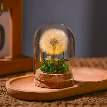 Dandelion Preserved Flower Night Light - Glass Cloche Table Decor Lamp