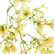 27.5 Inch Artificial Daphne Flowers Bouquet, Yellow and White, Spring Floral Arrangement, Bulk Wholesale