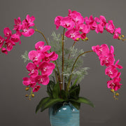 39 Inch Deep Magenta Phalaenopsis Orchid Stems, 6 Pcs, Real Touch Artificial Flowers