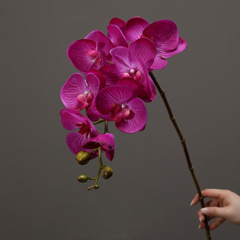 39 Inch Deep Magenta Phalaenopsis Orchid Stems, 6 Pcs, Real Touch Artificial Flowers