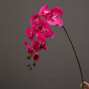 39 Inch Deep Magenta Phalaenopsis Orchid Stems, 6 Pcs, Real Touch Artificial Flowers