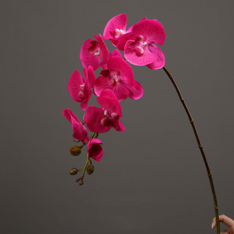 39 Inch Deep Magenta Phalaenopsis Orchid Stems, 6 Pcs, Real Touch Artificial Flowers