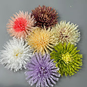 50 Pcs 7 Inch Artificial Dragon's Claw Chrysanthemum Flower Heads for Crafts